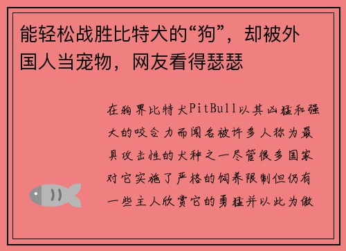 能轻松战胜比特犬的“狗”，却被外国人当宠物，网友看得瑟瑟