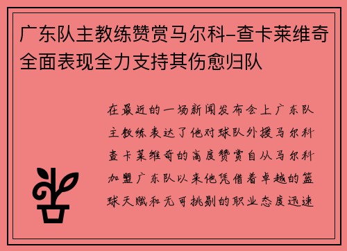 广东队主教练赞赏马尔科-查卡莱维奇全面表现全力支持其伤愈归队